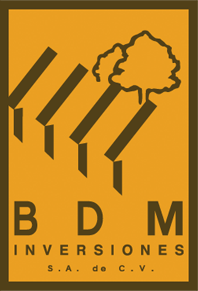 BDM Inversiones